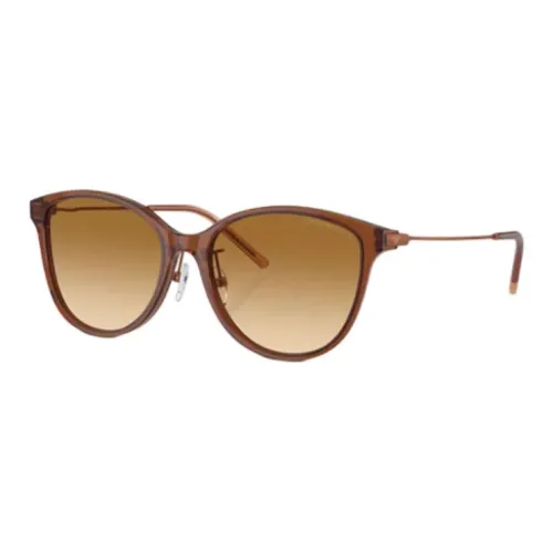 EMPORIO ARMANI Пластина Кошачий глаз Солнцезащитные очки Женские Светло-коричневый