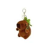 Спина черепахи