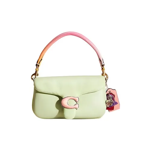 COACH Pillow Кожа Пельменная Сумка Сумка через плечо Стандартная Женская Травяной Зеленый