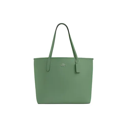 COACH Городская Двойная Сторонняя Кожаная Сумка-Тот Сумка для покупок Сумка Большая Женская Серебряный и Светло-Зеленый