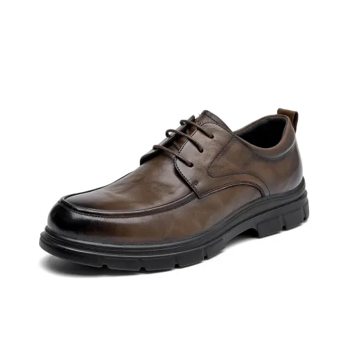 AOKANG Мужские повседневные туфли Low Top Коричневый Мужской