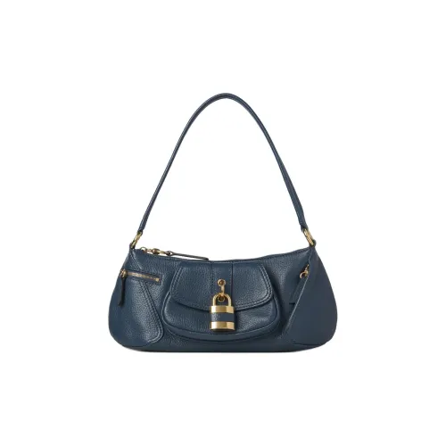 Chloe Блестящая с рельефом телячья кожа сумка сумка через плечо обычная женская TAPESTRY синяя