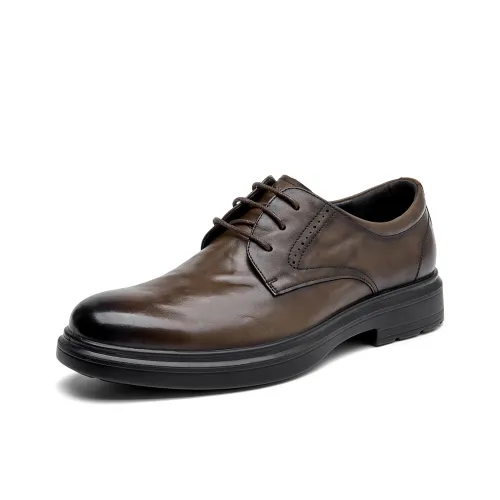 AOKANG Мужские повседневные туфли Low Top Коричневый Мужской