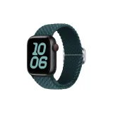 Тропический лес зеленый