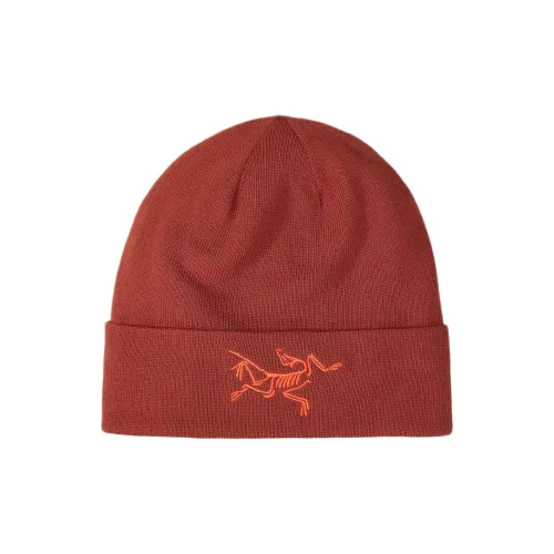 Arcteryx Переработанный полиэстер Шапки-бини Унисекс Секвойя Солярис