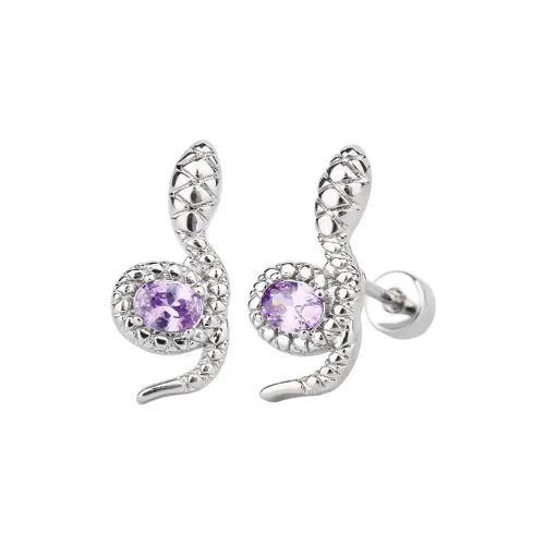 ZANC Титановые Стальные Серьги-гвоздики Женские