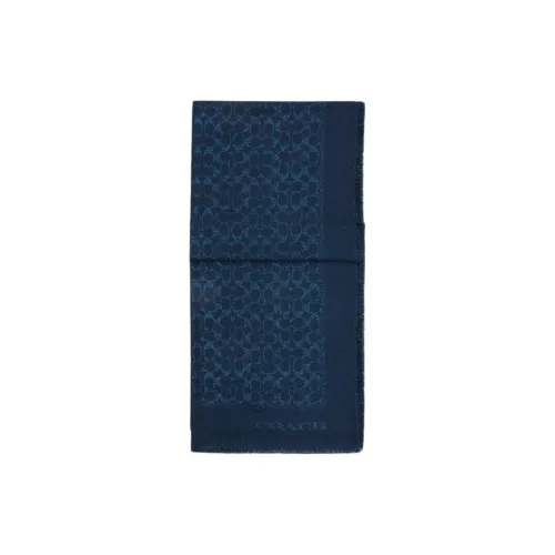 COACH Овечья шерсть вискоза полиэстер металлическое волокно с покрытием унисекс синий