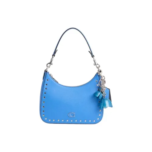 COACH Hobo Кожа Сумка через плечо Маленькая Женская Черная