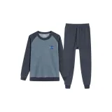 2366 Циан Серый Синий-Звезды