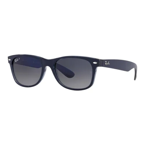 RayBan Plastic OVAL SUNGLASSES Unisex Matte Blue