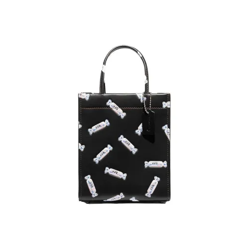 COACH Baymax Rabbit Collaboration Cashin