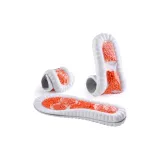 Апельсин 2 штуки