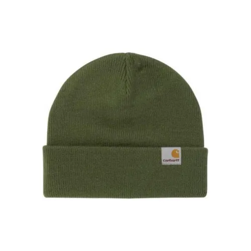 Carhartt WIP Шапки-бини Мужской Зеленый