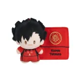 Подтвержденная версия Стиль-Тэцуро Куроо Стиль (Распакованный, Не закрытый)