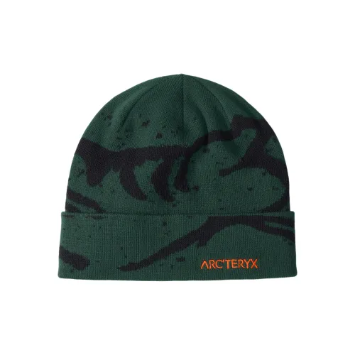 Arcteryx Переработанный полиэстер эластан шапки-бини мужской зеленый