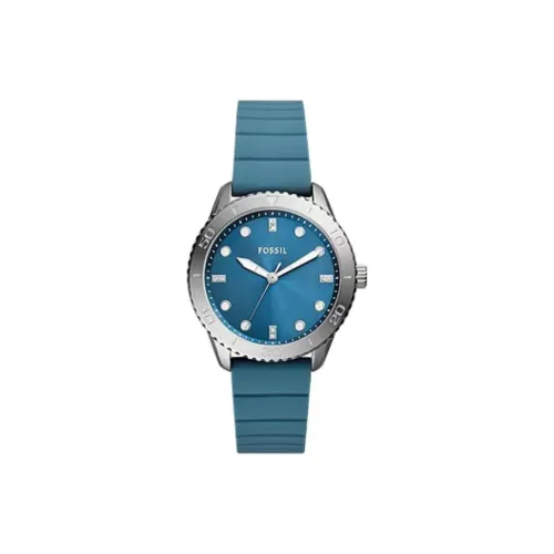 FOSSIL DAYLE Collection Женские часы Кварцевый механизм Силиконовый ремешок 38 мм Синий циферблат