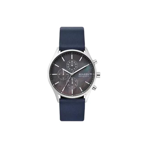 SKAGEN Наручные часы Кварцевый механизм Кожаный ремешок 42 мм Черный циферблат Мужские часы