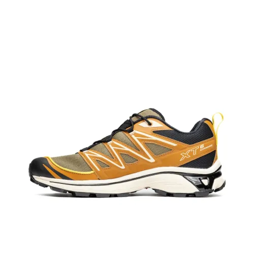 Salomon Collaboration XT 6 Беговые кроссовки Низкий топ Коричневый Мужской