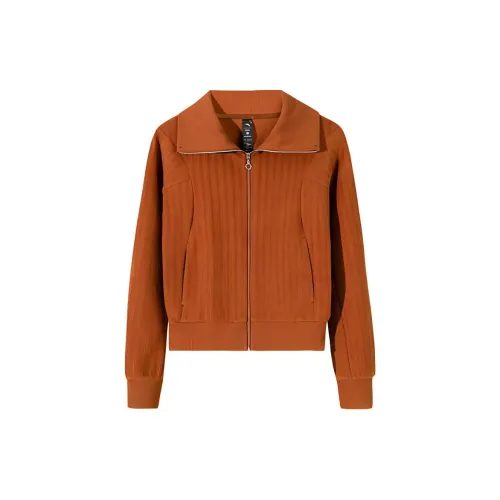 ANTA Variety Тренировки Коллекция Трикотаж Женские Конфетный цвет Кофе