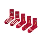 Набор "Процветание и Удача 2" + 3 монеты в мешочке