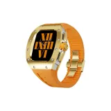 Серебряный корпус, золотая оправа, апельсиновая лента с фторидом