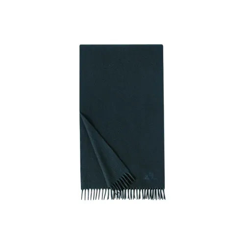 Loro Piana Кашемир Вязаные Шарфы Мужской Зеленый