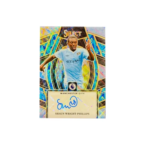 PANINI Спортивные карты