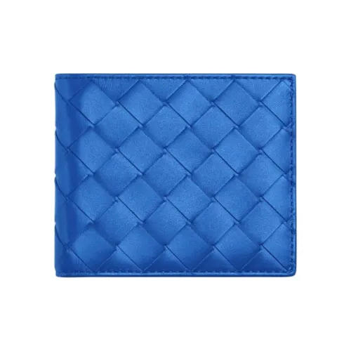 Bottega Veneta Кошельки Мужской