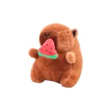 Стиль с застежкой-молнией и арбузным дизайном