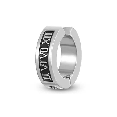 RboySe Сплав Нижняя заколка On Серьги Унисекс