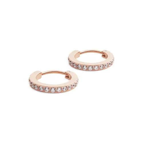 Daniel Wellington Alloy Stud Earrings Unisex Daniel Wellington Сплав Серьги-гвоздики Унисекс
