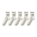 Собака Paw 5