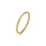 Традиционный стиль, без рисунка, кольцо (золото, блестящее)