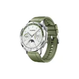 Ель Зеленая