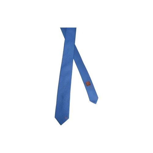 HERMES Terre d'H Шелковые галстуки Мужской