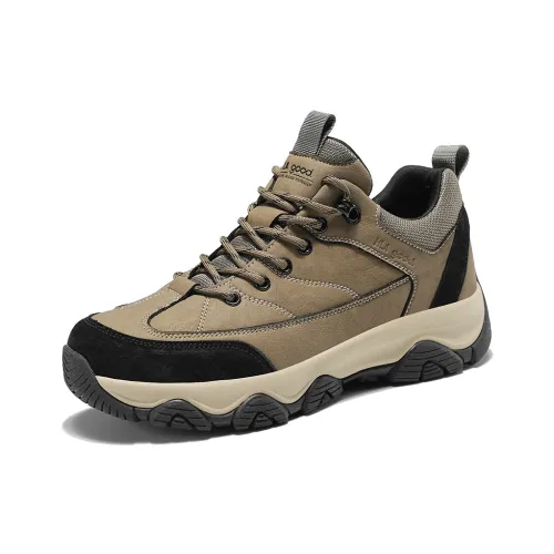 HLA Уличная обувь Низкий топ Мужской