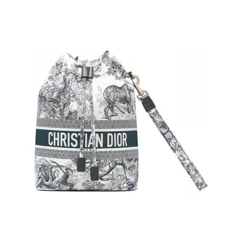 DIOR Путешествие Клатчи Женские