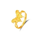 Бабочка Кольцо