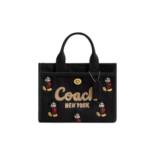 COACH Disney collaboration Холст с Сатином