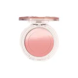 Пудрово-туманная оболочка