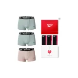 Коробка 3 шт. (Светло-синий + Светло-синий + Камея коричневая)