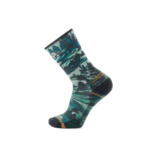 SMARTWOOL 1 шт Лесной мшистый Унисекс MID Носки до икры
