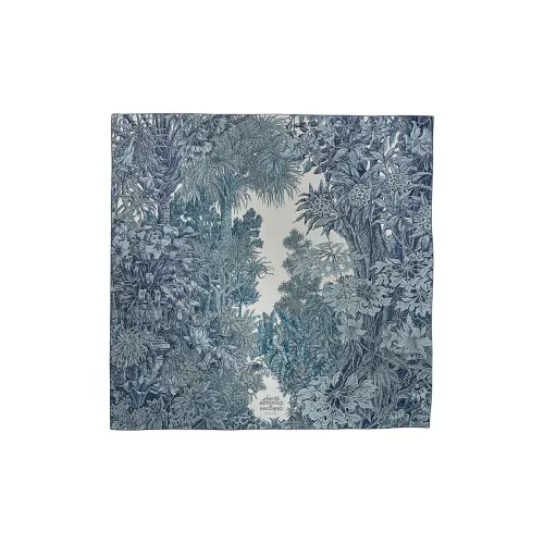 HERMES Кашемир Шелк Палантины Унисекс Синий