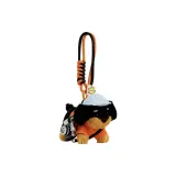 Спина Камера Черный Колбаса Собака