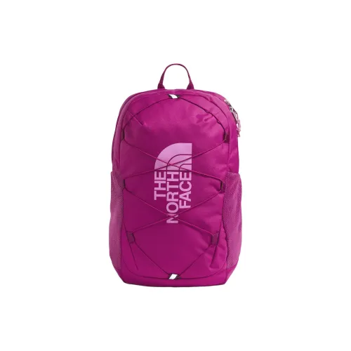 The North Face Jester 24,6L Туристические сумки Переработанный полиэстер Deep Mulberry Смесь с Питайя Детский
