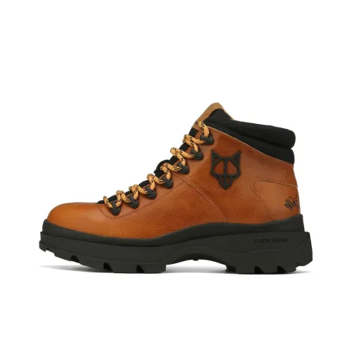 Naked Wolfe Aspen ботильоны мужские коричневые