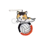 Шлифовка кошка