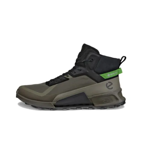 Ecco Biom 2,1 Outdoor Green Men's