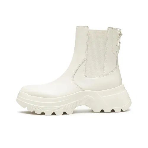 Staccato Dolphin Sweetheart Crew Chelsea Women's