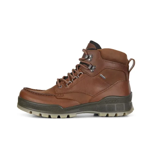 Ecco Track 25 Short MID Outdoor Men's Brown